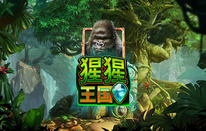 im电竞官方入口